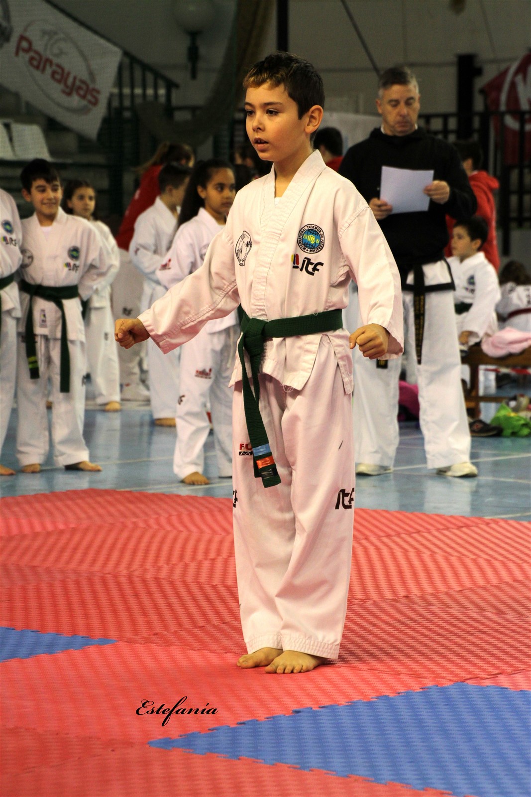 Taekwondo (59).jpg